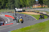 Middle 2 Group Yellow Bikes